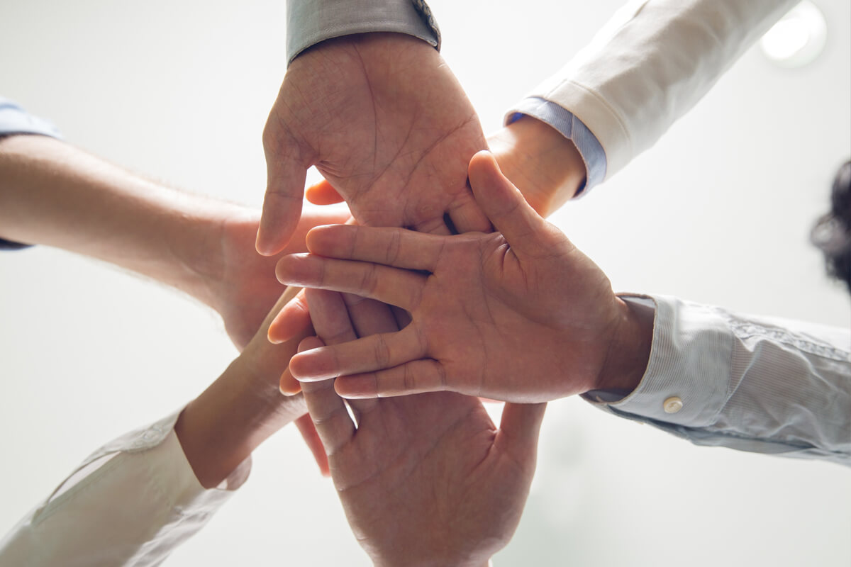 Pellentesque habitant morbi tristique senectus et netus